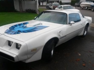 1979 Pontiac Trans Am for sale in Cadillac, Michigan at $20,895
