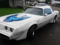 1979 Pontiac Trans Am for sale in Cadillac, Michigan (ID-1790)