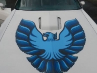 1979 Pontiac Trans Am for sale in Cadillac, Michigan (ID-1790)
