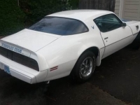 1979 Pontiac Trans Am for sale in Cadillac, Michigan (ID-1790)