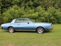 1979 Pontiac Grand Prix for sale in Cadillac, Michigan (ID-48084)