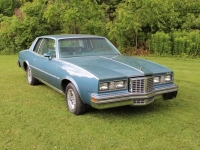 1979 Pontiac Grand Prix for sale in Cadillac, Michigan (ID-48084)