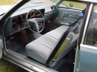 1979 Pontiac Grand Prix for sale in Cadillac, Michigan (ID-48084)