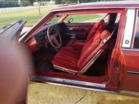 1979 Pontiac Bonneville for sale in Cadillac, Michigan (ID-48180)