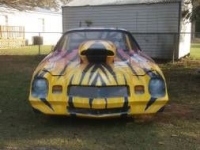 1980 Chevrolet Camaro for sale in Cadillac, Michigan (ID-1750)