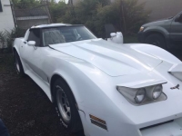 1980 Chevrolet Corvette for sale in Cadillac, Michigan (ID-48120)