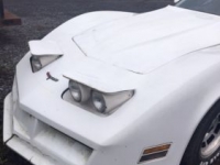1980 Chevrolet Corvette for sale in Cadillac, Michigan (ID-48120)