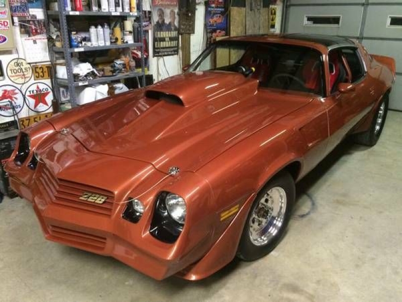 1980 Chevrolet Camaro for sale in Cadillac, Michigan (ID-48610)
