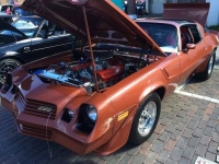 1980 Chevrolet Camaro for sale in Cadillac, Michigan (ID-48610)
