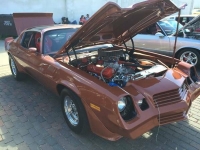1980 Chevrolet Camaro for sale in Cadillac, Michigan (ID-48610)