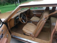1980 Oldsmobile Delta 88 for sale in Cadillac, Michigan (ID-47994)