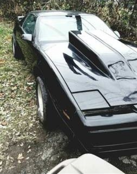 1980 Pontiac Trans Am for sale in Cadillac, Michigan (ID-48098)