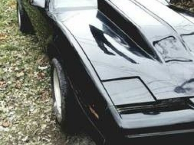 1980 Pontiac Trans Am for sale in Cadillac, Michigan at $16,495