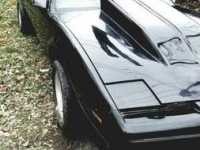 1980 Pontiac Trans Am for sale in Cadillac, Michigan (ID-48098)