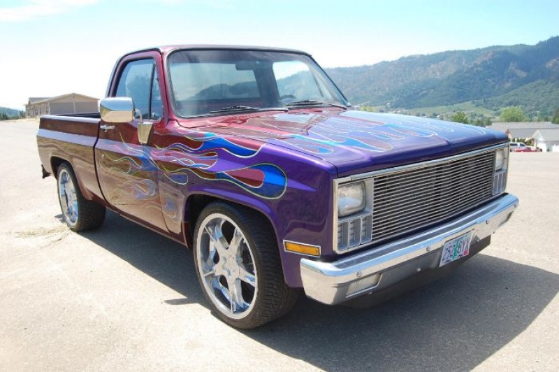 1982 Chevrolet Pickup for sale in Cadillac, Michigan (ID-48598)