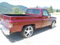 1982 Chevrolet Pickup for sale in Cadillac, Michigan (ID-48598)