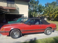 1984 Ford Mustang for sale in Cadillac, Michigan (ID-48192)