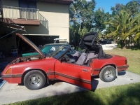 1984 Ford Mustang for sale in Cadillac, Michigan (ID-48192)