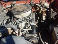 1984 Ford Mustang for sale in Cadillac, Michigan (ID-48192)