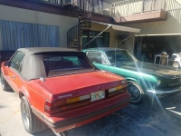 1984 Ford Mustang for sale in Cadillac, Michigan (ID-48192)