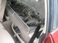 1987 Jaguar XJSC for sale in Allenhurst, Georgia (ID-1449)